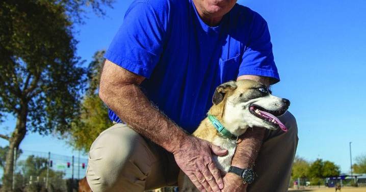 'Dog park guy’ has bone to pick with Graham