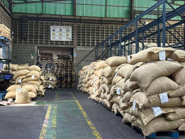 Venezuela exports 50 tons of cocoa to Russia