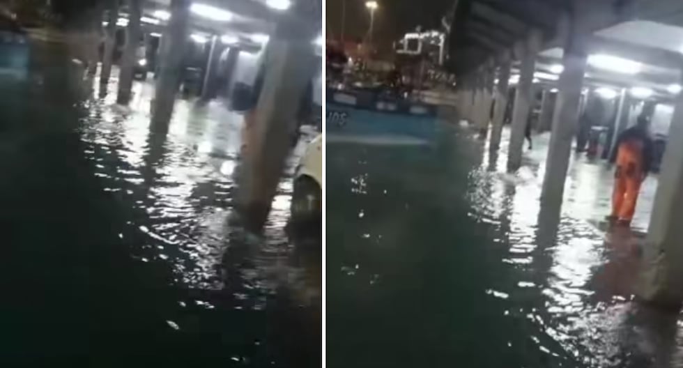 Alerta de tsunami en Perú: Mar subió de nivel e inundó parte del muelle artesanal del Callao 