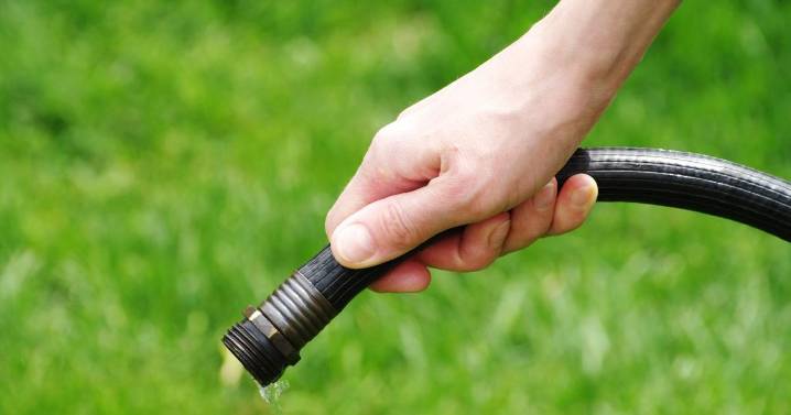 Thames Water announces hosepipe ban in Wiltshire