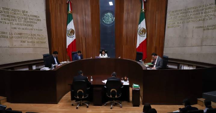 Tribunal rescata a candidatos ‘reprobados’: Ordena al INE devolver triunfo a 15 ganadores de elección judicial