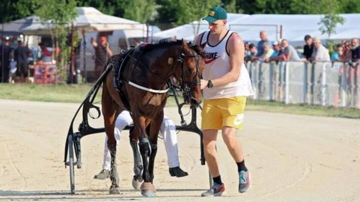 Unbridled joy: Nikola Jokić overcome with emotion after horse racing victory