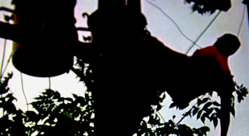 Warao sobrevive a fuerte descarga eléctrica en Guara de Monagas