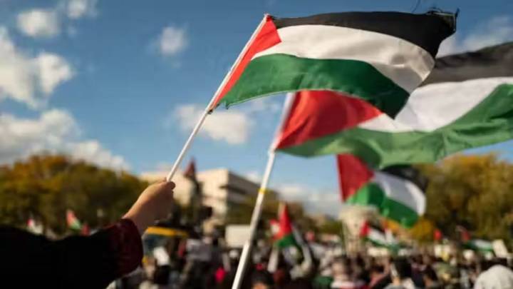 Países árabes y varias potencias pidieron en la ONU la creación del Estado Palestino