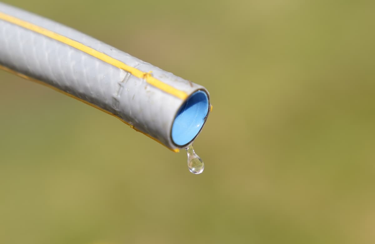 Will there be a hosepipe ban in London? Thames Water to introduce ban to specific regions