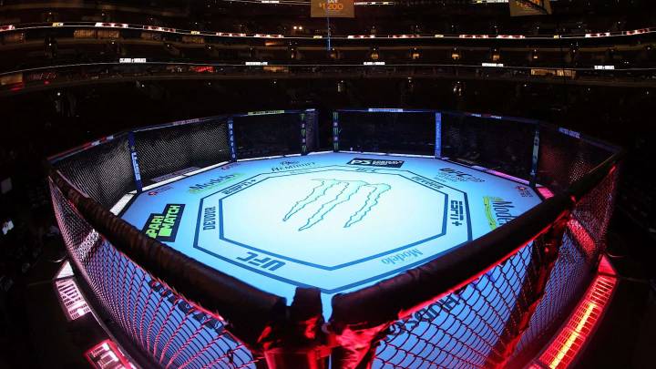 UFC announces next Fight Night event set for Brazil