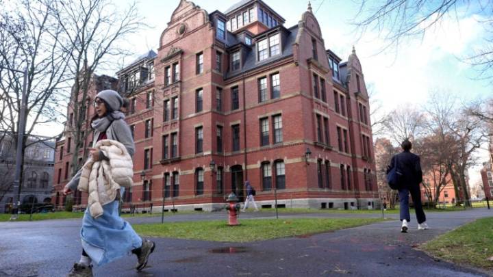 Harvard under investigation over participation in visa program