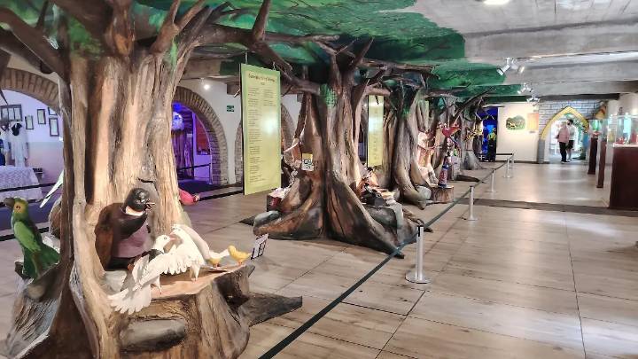 Poliforum Mier y Pesado es la casa del museo dedicado a Francisco Gabilondo Soler Cri