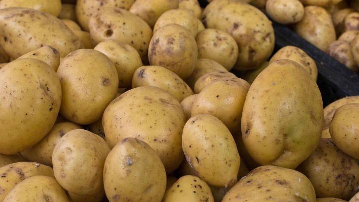 La patata moderna proviene de un cruce natural con el tomate hace unos 9 millones de años