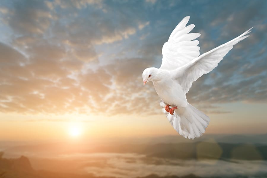 Spiritual Side: Your anchor in life’s storms