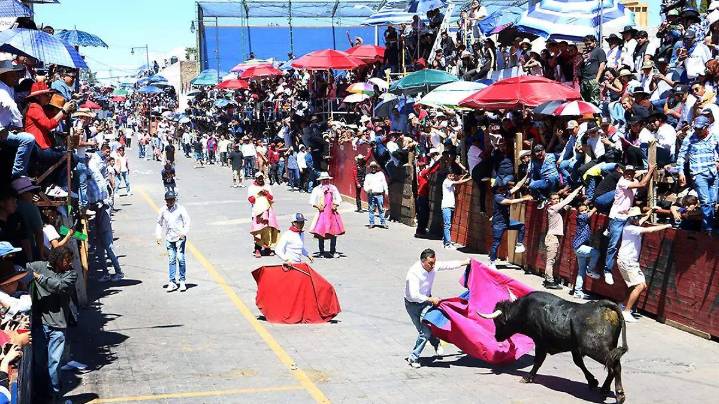 Toros de la Huamantlada podrían tener un destino diferente después del encierro