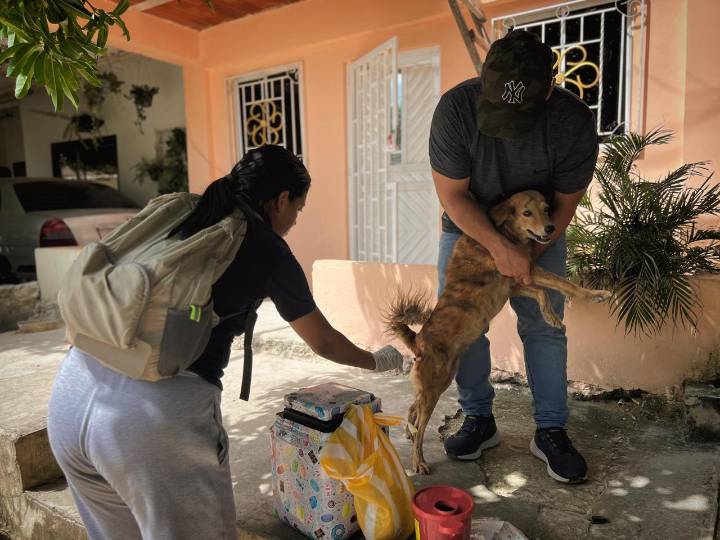 Inició campaña de vacunación antirrábica en Galapa
