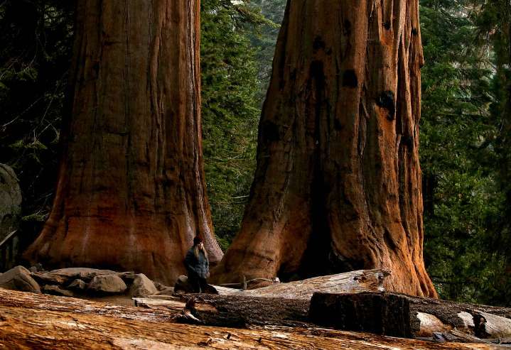 Drew Hall, California teacher, found dead in Sequoia National Park