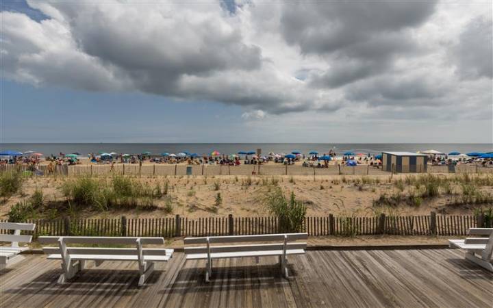 Tourist season success mixes with slight decline
