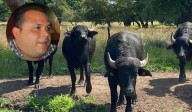 El Delta potencia (I)