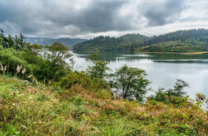 Have a California library card? You can visit a fabulous state park for free