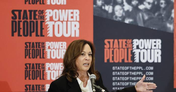Run for president? Start a podcast? Tackle AI? Kamala Harris' options are wide open