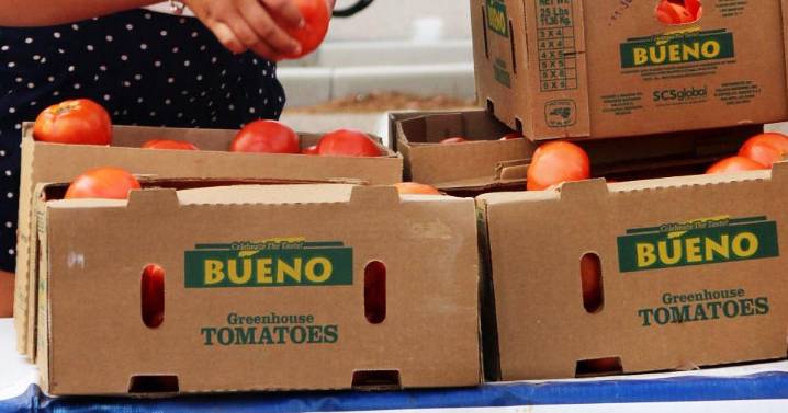 Feds terminate Tomato Suspension Agreement