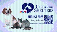 South Florida Animal Shelters