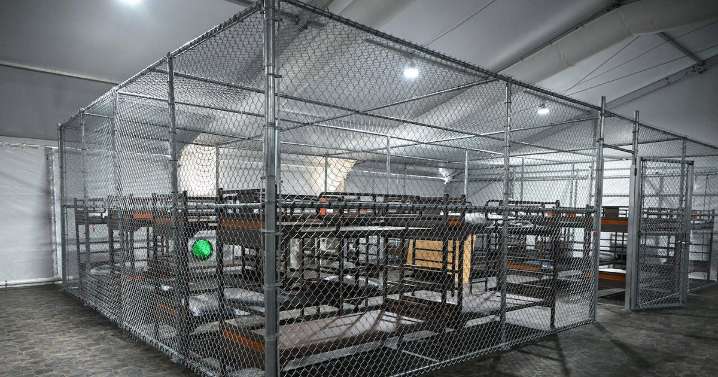 Lawyers argue in Miami federal court that Alligator Alcatraz violates detainees constitutional rights