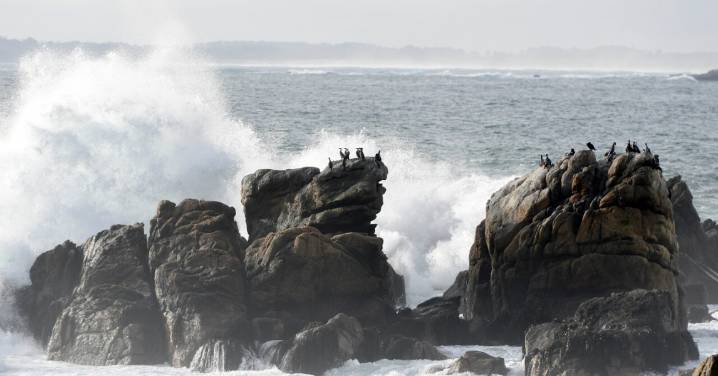 Japón da por superada la emergencia y baja la alerta de tsunami tras fuerte terremoto en Rusia