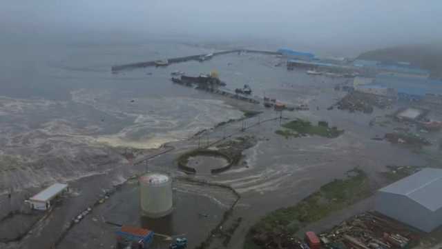Powerful tsunami waves travel across Pacific after earthquake