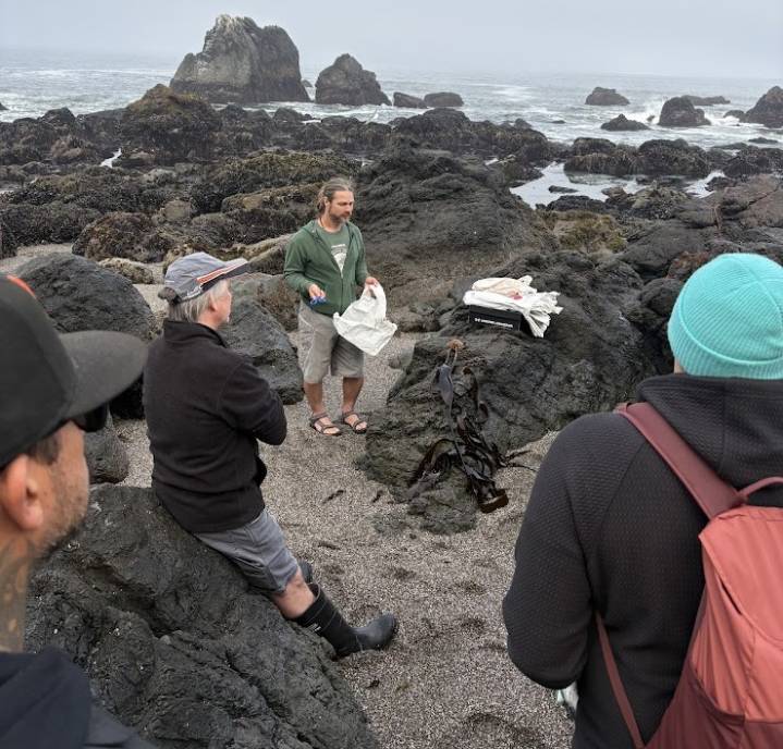 From beach to bottle: Bay Area gin makers using seaweed in products