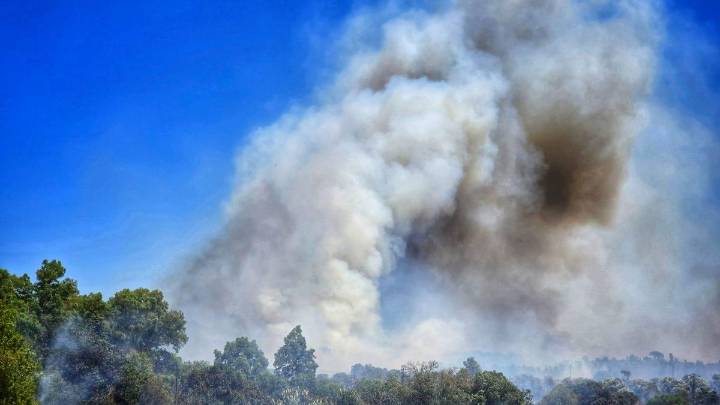 Activado el nivel 1 por un incendio en Sancha Brava