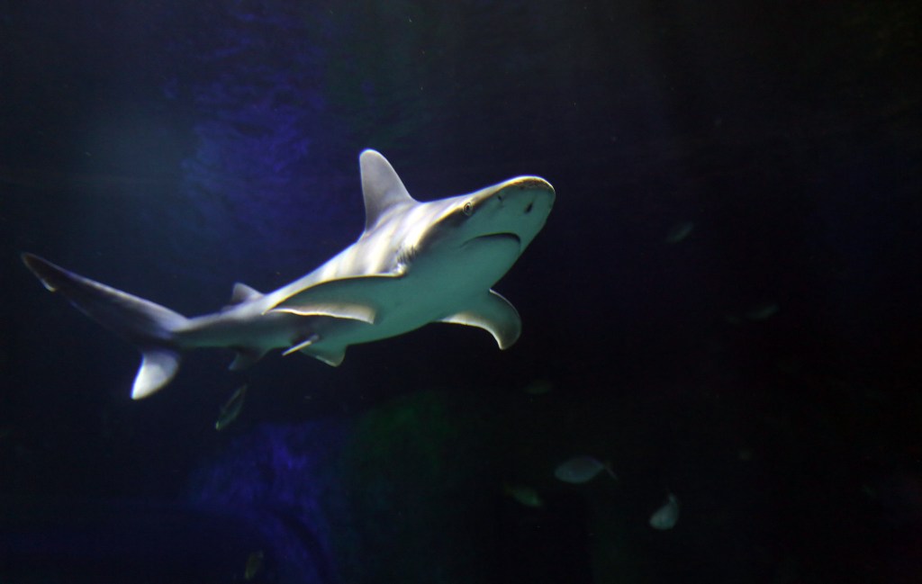 Orlando's indoor attractions offer cool options in heat wave
