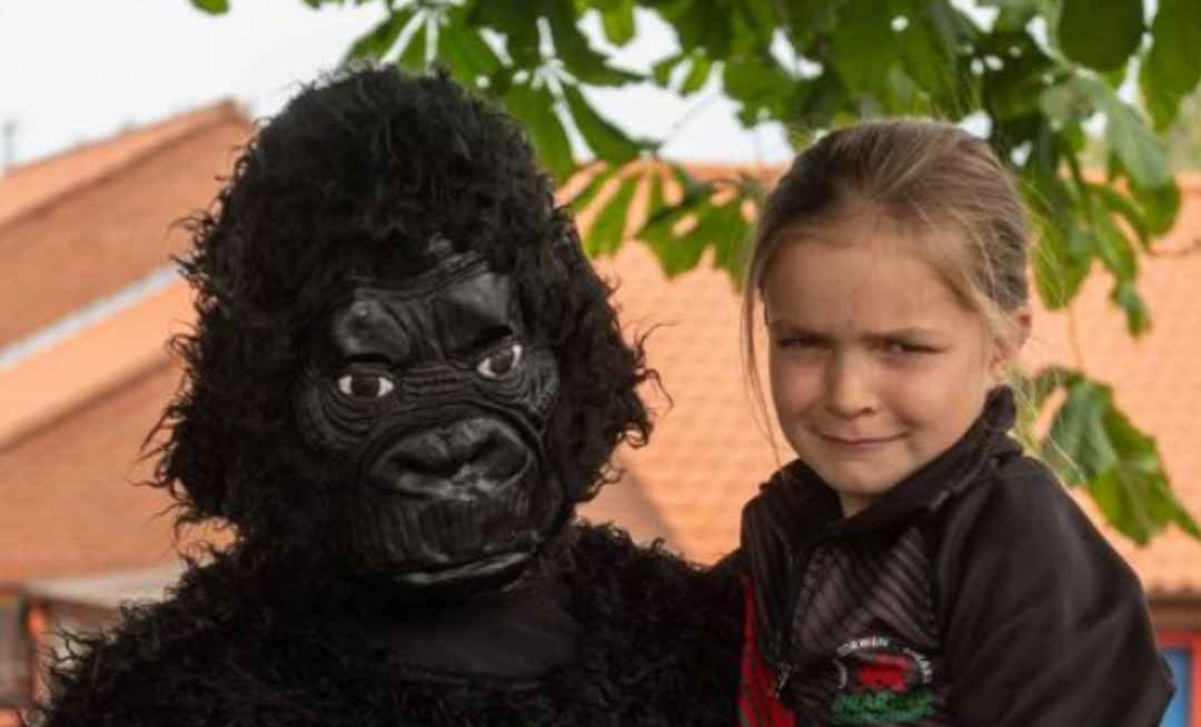 Horse dentist asked not to dress as gorilla