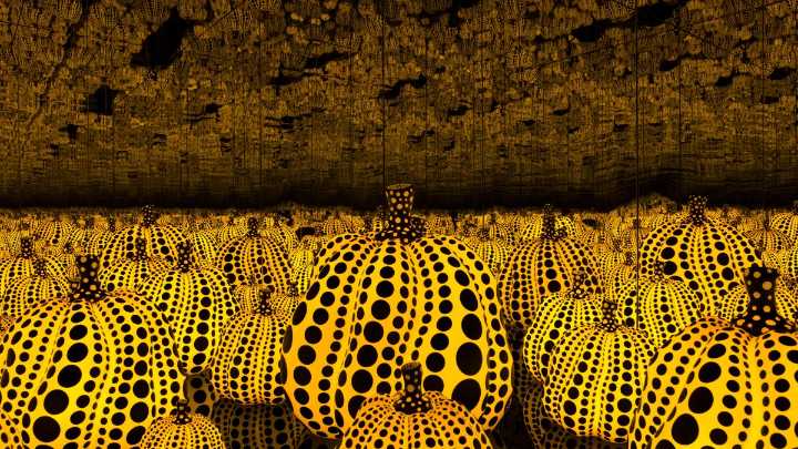 Get lost in a field of pumpkins in the middle of summer at the Dallas Museum of Art