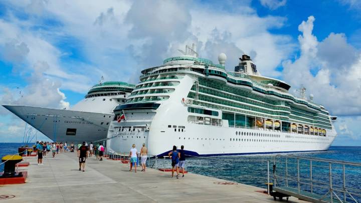 Royal Caribbean Alerts Guests that Popular Dolphin Tours Now Scaled Back