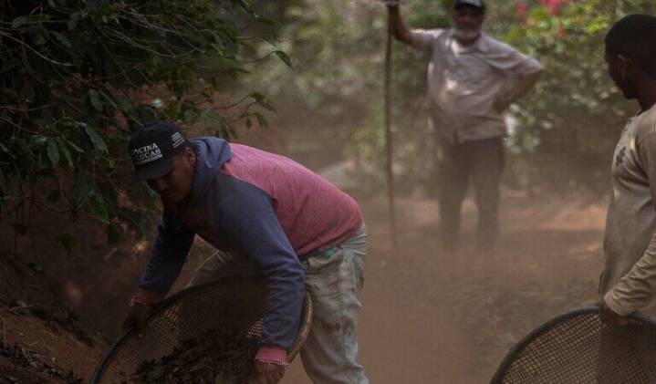 ‘Insignificant risk’ EUDR proposal threatens fight against deforestation, critics say