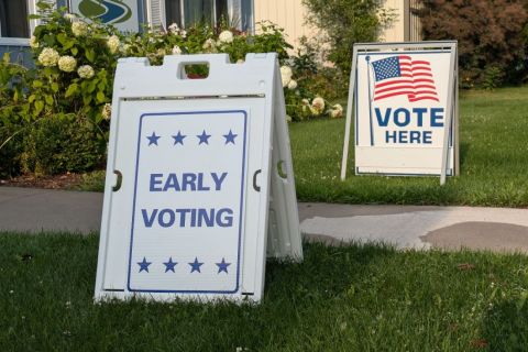Michigan ranked No. 3 for 2024 election turnout. Did early voting help?