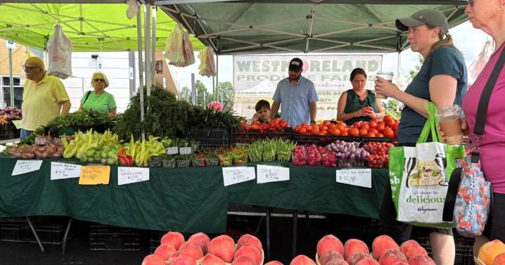 Hispanos son el “corazón invisible” de la agricultura