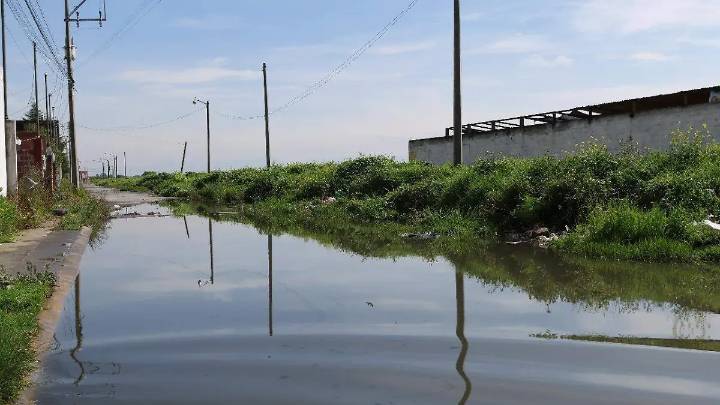 Vecinos de Rancho San Dimas viven entre aguas negras por fallas en drenaje