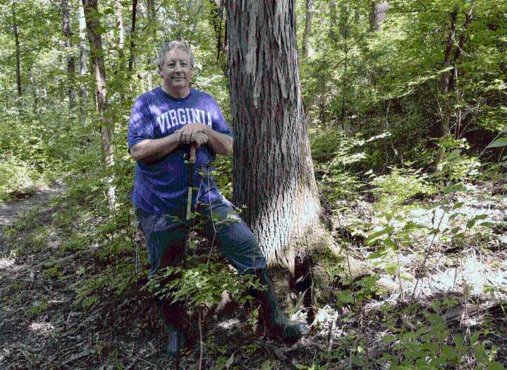 In the forest between Warner Park and Cheekwood, Nashville wants to build a road