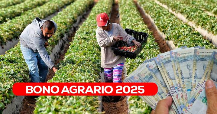 Bono agrario 2025: Consulta AQUÍ si estás registrado en el Padrón de Productores Agrarios