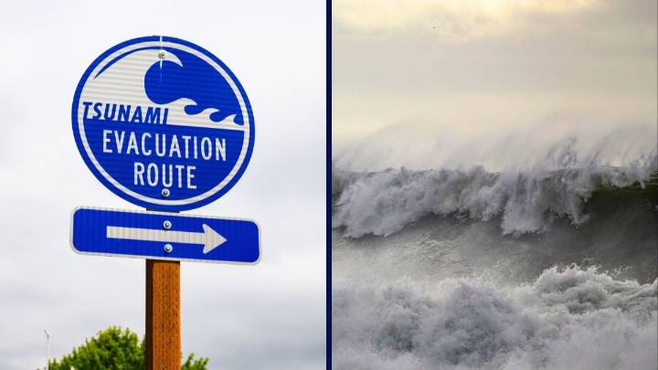 Cruise Destinations Under Tsunami Warnings Following Major Earthquake