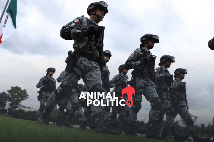 Denuncian penalmente a un promedio de dos integrantes de la Guardia Nacional diariamente en 2024