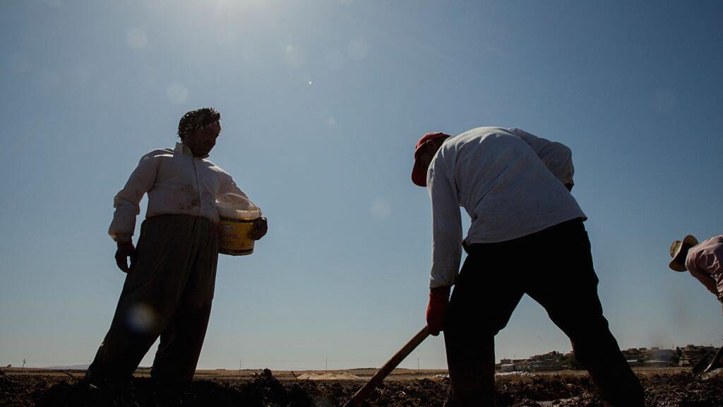 Jornaleros enfrentan calor extremo sin denunciar por temor a despidos o deportaciones