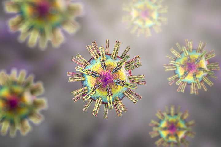 Antiviral Treatment Ineffective for Treating Early Alzheimer’s Disease