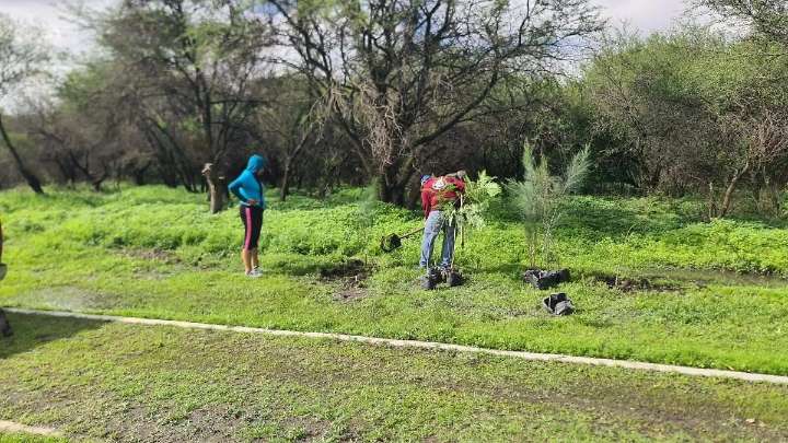 Siguen acciones de reforestación ¡¡Por Un Cuerámaro Verde!!, realizan actividad en San Gregorio