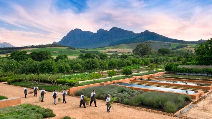 Why Regenerative Farming Is the Latest Wellness Travel Trend