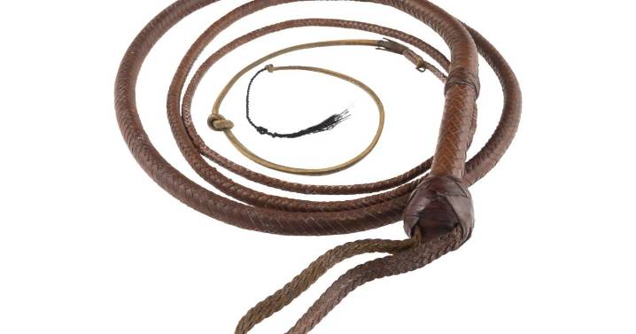 Látigo de Indiana Jones llega a 525.000 y trineo de 'Ciudadano Kane' roza los 15 millones en subasta