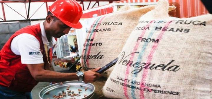 Venezuela exporta 50 toneladas de cacao al mercado ruso
