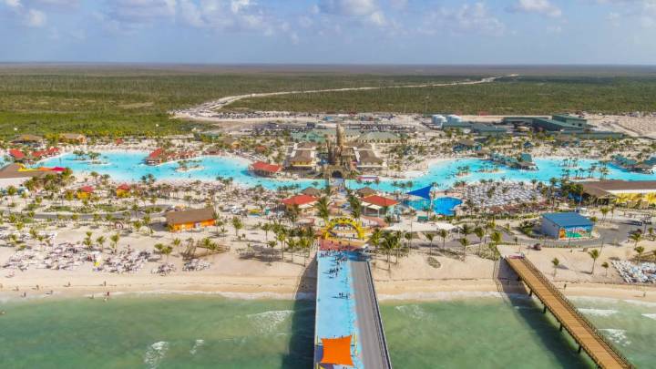 Carnival Working to Address Stinging Problem at Celebration Key