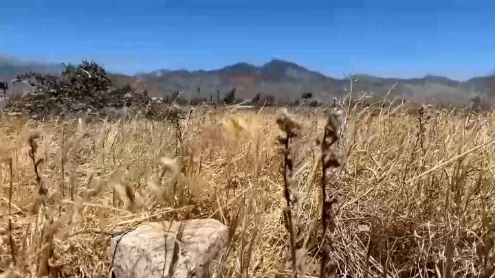 Propietarios de terrenos que no pagaron la reducción del riesgo de incendios forestales recibirán multas por la limpieza de maleza