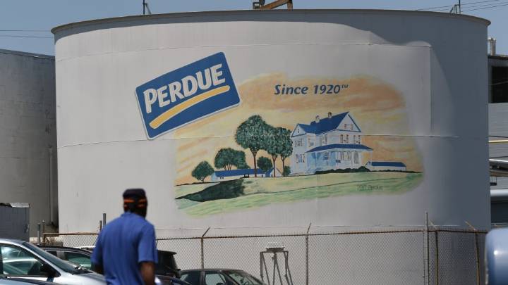 Salisbury residents sue Perdue Farms for PFAS pollution