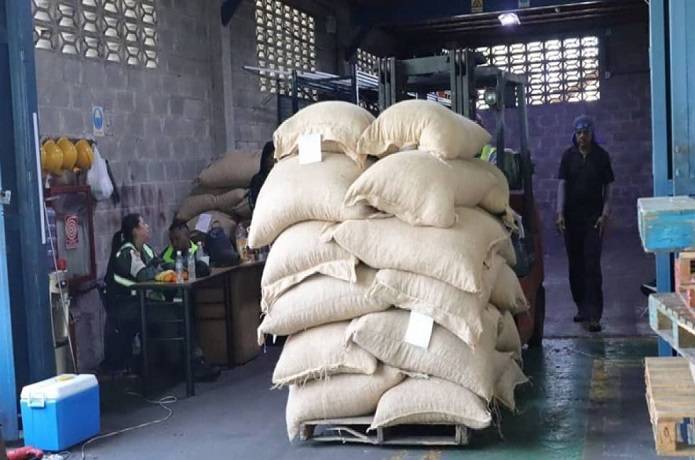 Realizan primera exportación de cacao venezolano a Rusia